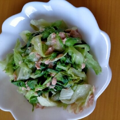 レタスのかさが減ってぺろっと食べられますね！美味しかったです♪レシピありがとうございます！